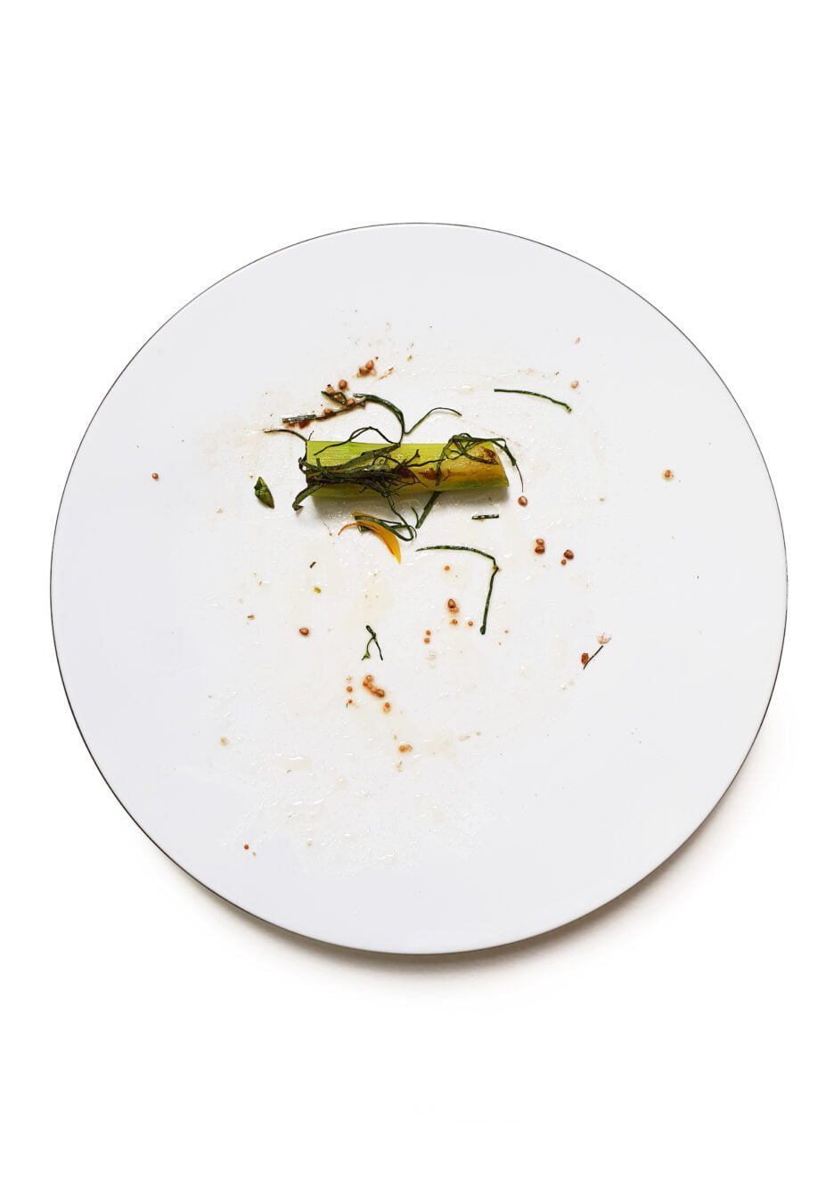 Photographies pour l’ouvrage Servez citron, recettes par Michel et César Troisgros, texte par Jean-Claude Lebensztejn Éditions Macula