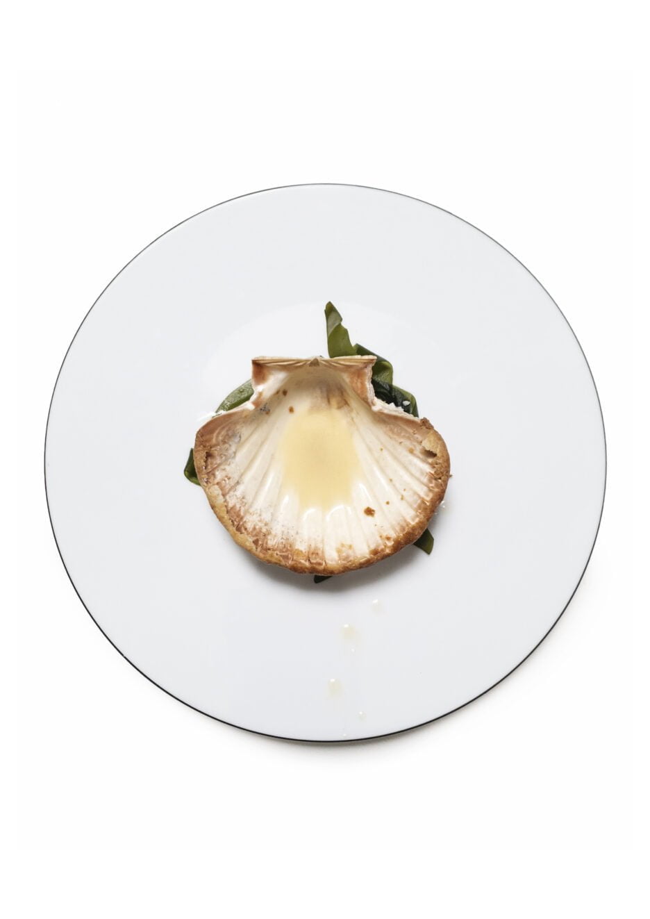 Photographies pour l’ouvrage Servez citron, recettes par Michel et César Troisgros, texte par Jean-Claude Lebensztejn Éditions Macula
