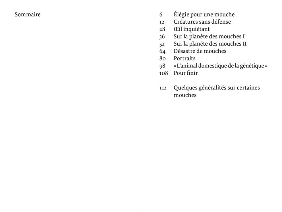 Mouches Éditions Macula