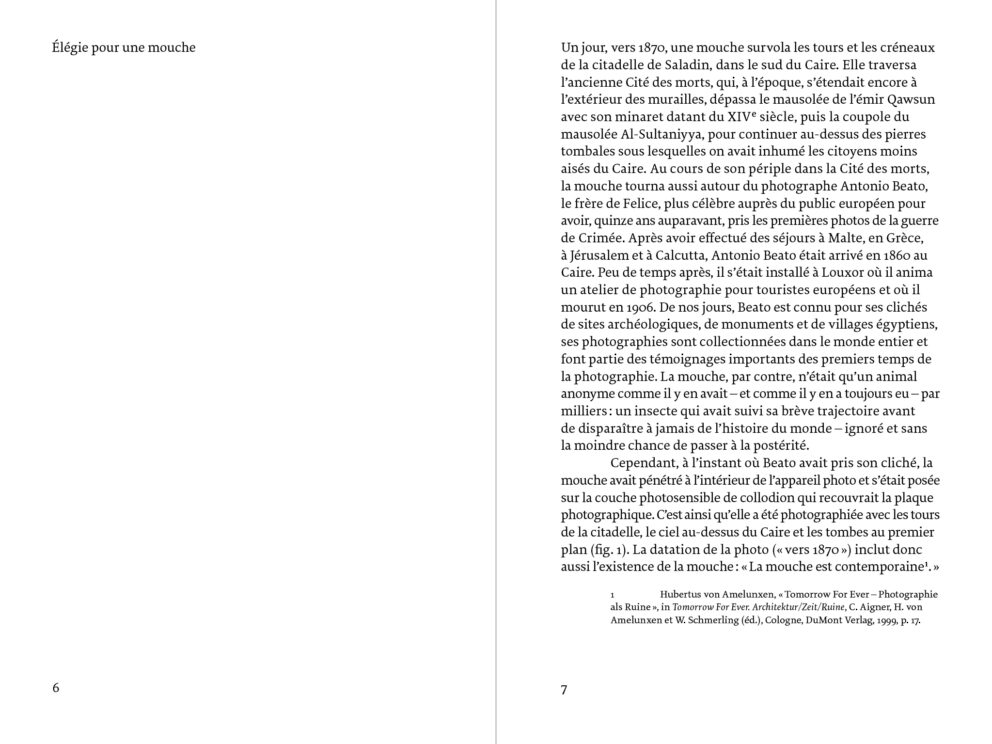 Mouches Éditions Macula