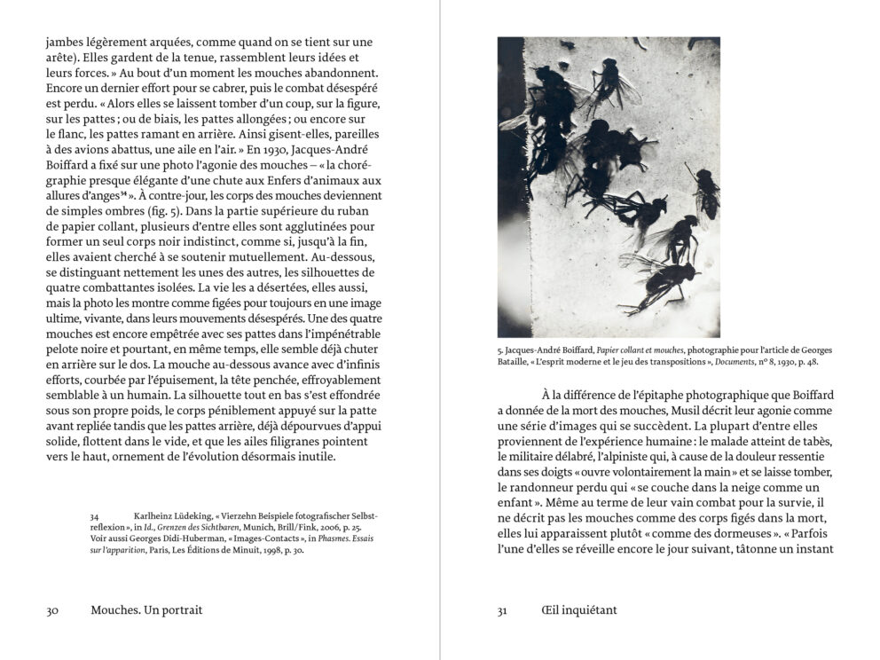 Mouches Éditions Macula